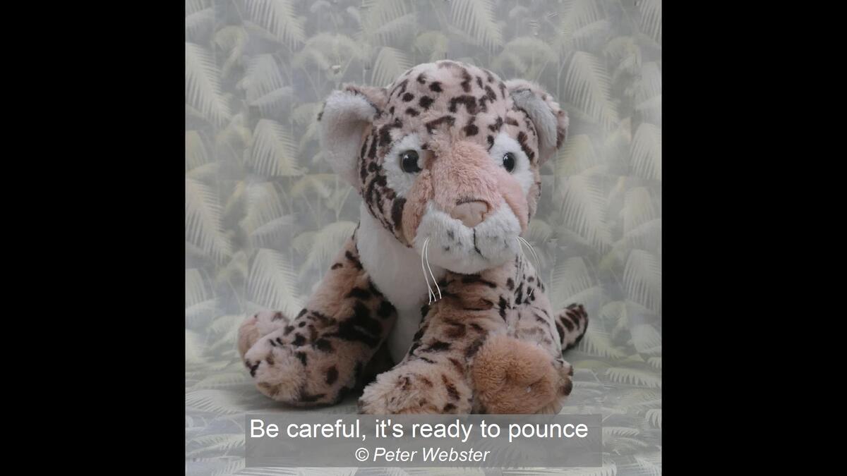 23_Be careful, it's ready to pounce_Peter Webster